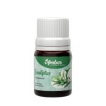 EUCALIPTUS Aceite AMBAR