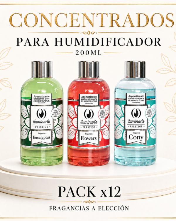 PACK CONCENTRADO HUMIDIFICADOR ILUMINARTE 200ML x12